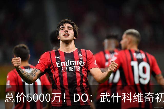 总价5000万！DO：武什科维奇初始转会费4600万镑，热刺有二转分成