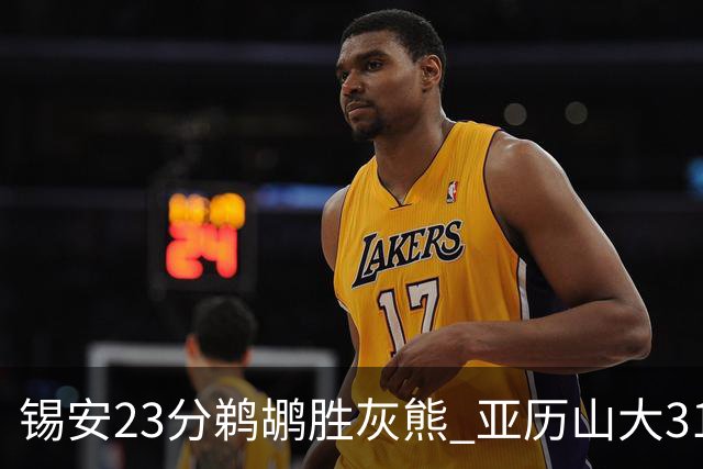 锡安23分鹈鹕胜灰熊 亚历山大31+10雷霆屠公牛